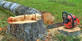 Best Tree and Shrub Care  in Jackson, OH