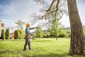 Best Leaf Removal  in Jackson, OH