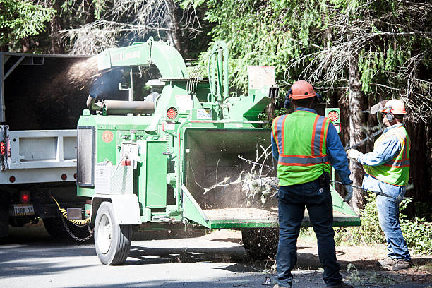 Best Weed Control  in Jackson, OH